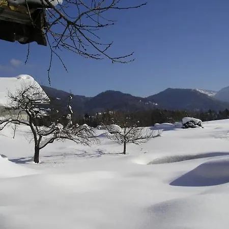 Hoeglhof Inkl. Chiemgaukarte Appartement Ruhpolding