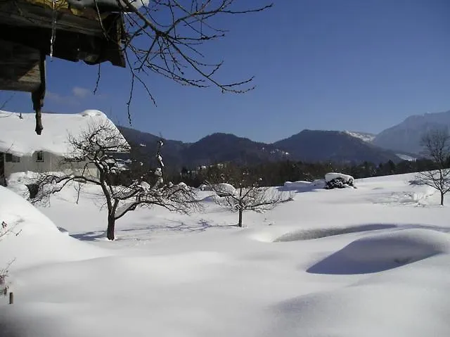 Hoeglhof Inkl. Chiemgaukarte Apartament Ruhpolding